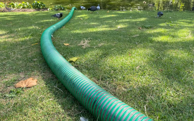 Is Your Home at Risk? Identifying Early Signs of Sewer Line Problems