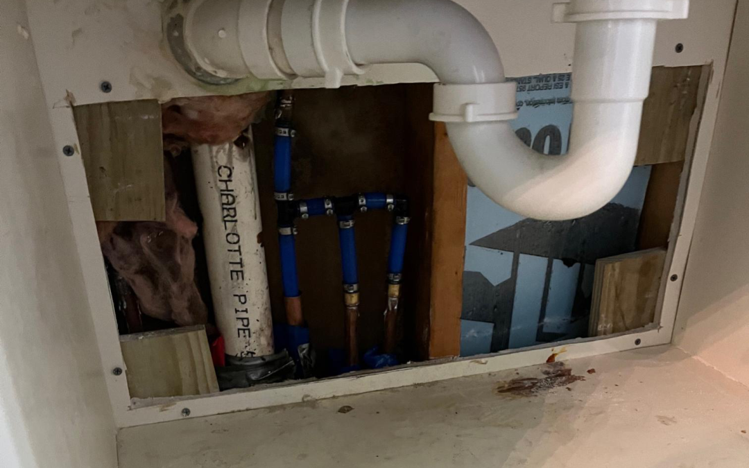 Drip, Drip, Disaster? A Guide to Recognizing, Addressing, and Preventing Water Leaks