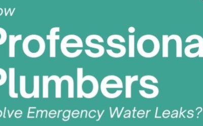How Professional Plumbers Solve Emergency Water Leaks?