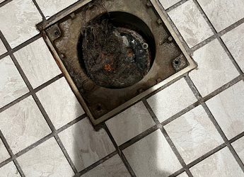 Clogged Drains in Greenville: The Strangest Things We’ve Found (and How to Prevent Them)