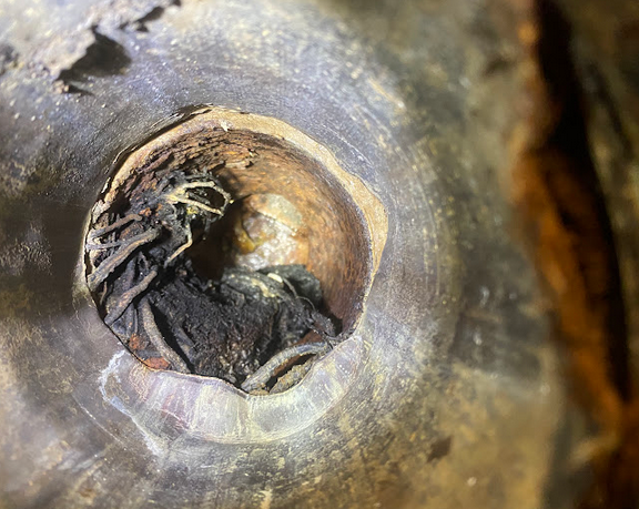 Drain with root intrusion.