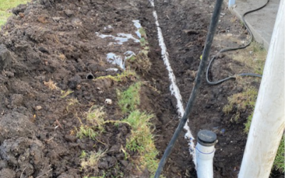 When Roots Attack: The Hidden Threat to Your Sewer Line