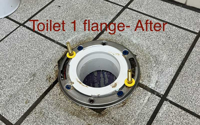 Flushing Out the Facts: What Your Toilet Says About Your Plumbing System